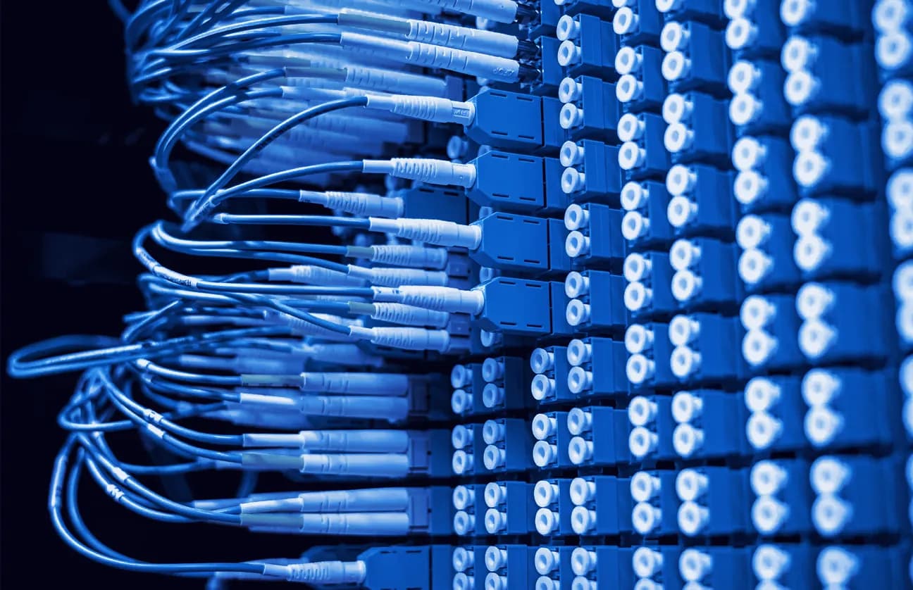 Câbles à fibre optique branchés sur un panneau de brassage réseau